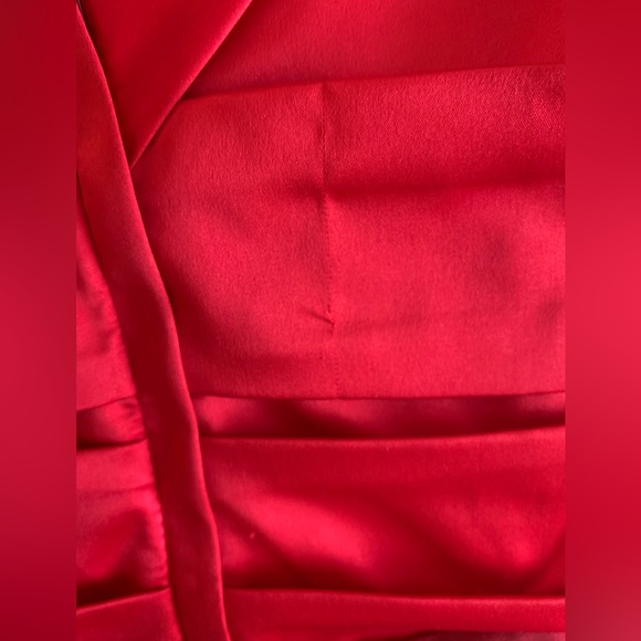 Express Rouched Two Tone Dress - Picture 3 of 4